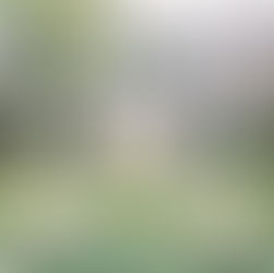 Venkovní versus vnitřní místo pro svatební obřad: Jak si vybrat to pravé?