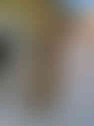 Nikola Procházková Najdi svůj styl